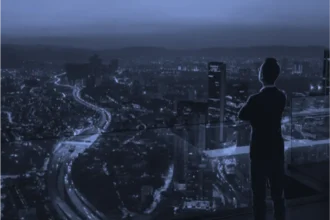vision-1